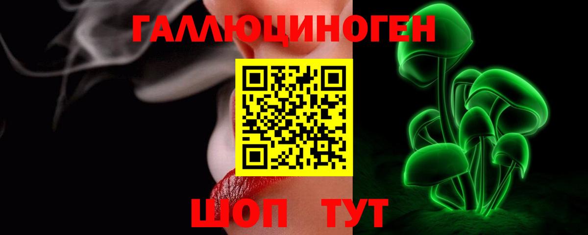 Псилоцибиновые грибы Psilocybine cubensis Лысьва